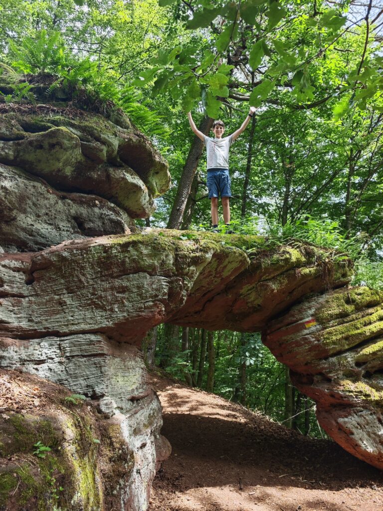Das Felsentor im Pirmasenser Felsenwald