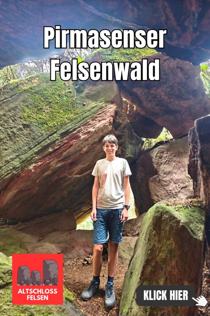 Pirmasenser Felsenwald
