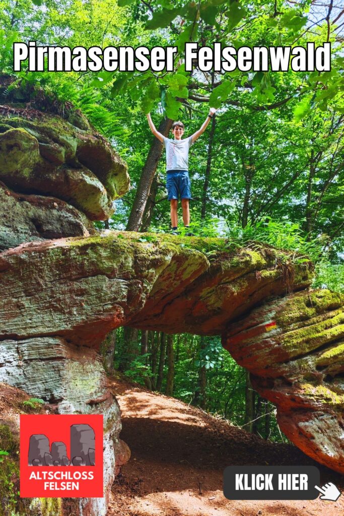 Pirmasenser Felsenwald