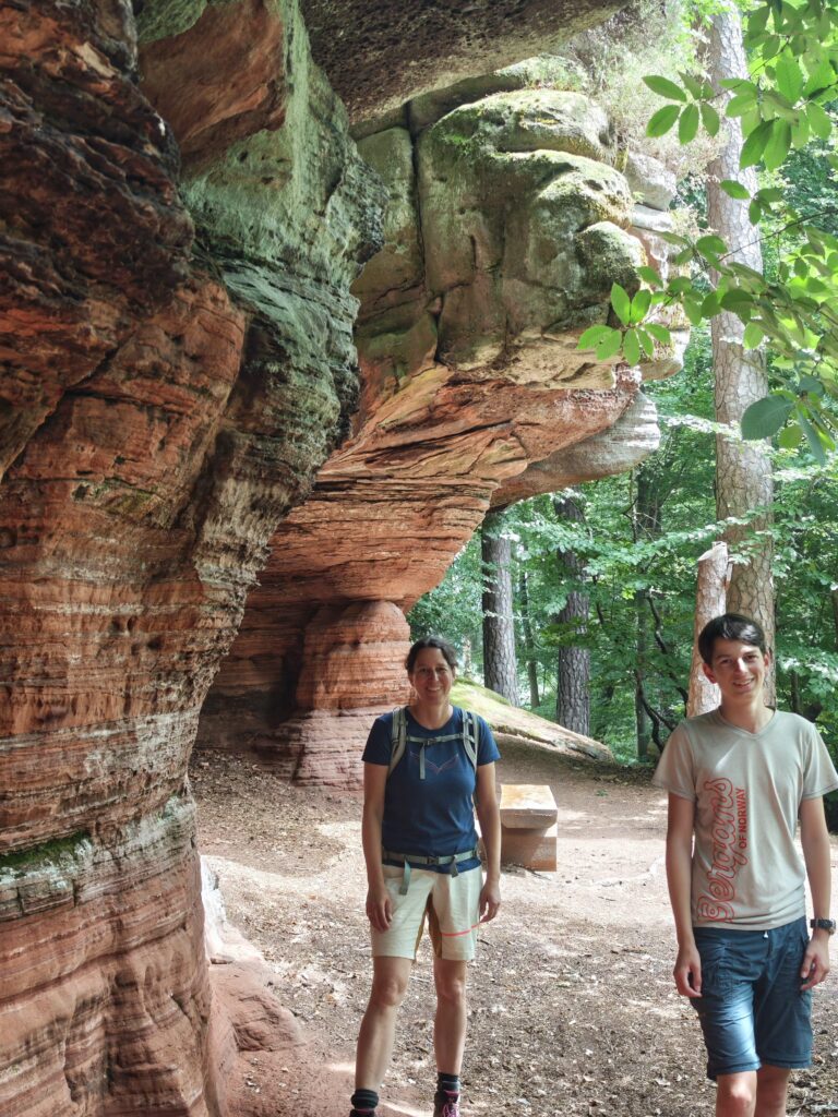 Die Schillerwand ähnelt den Altschlossfelsen sehr stark