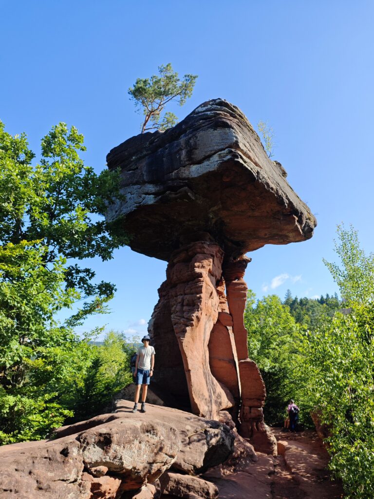 Berühmtester Felsen in der Pfalz - der Teufelstisch